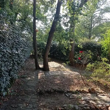 A L'ancienne Avec Jardin Et Piscine