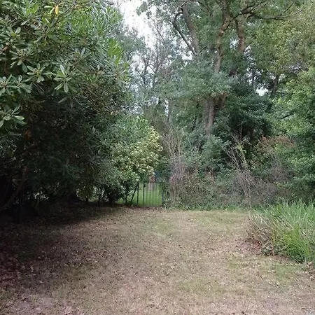 A L'ancienne Avec Jardin Et Piscine Ferienhaus